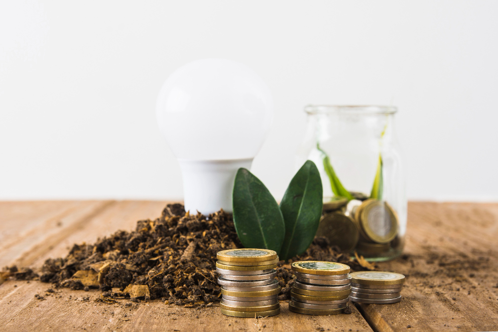¿Qué son las finanzas sostenibles?
